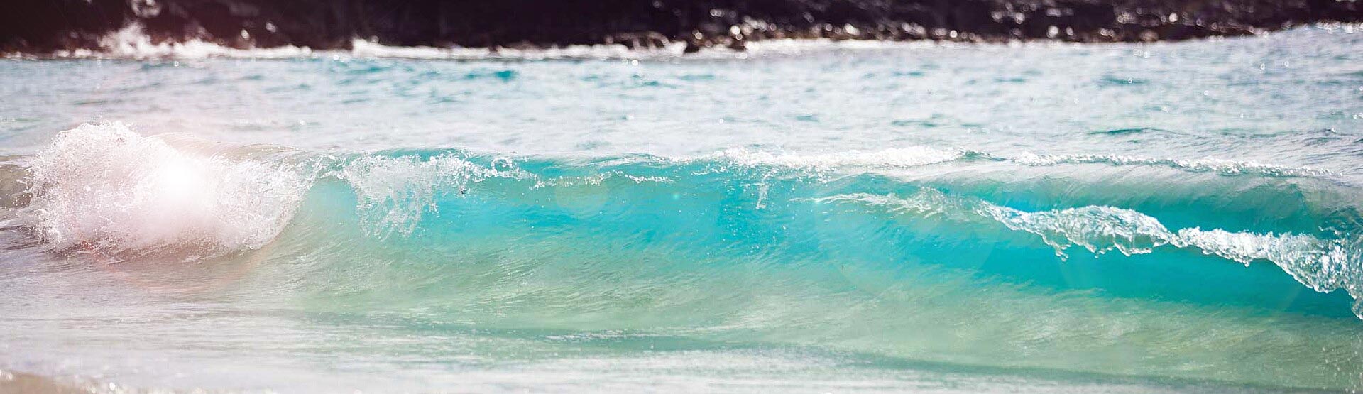 My Hawaii Tours - 